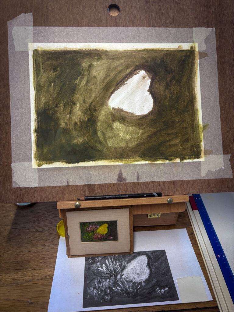 First colour layer. The butterfly is left as bare paper while a warm, olive-green wash goes in around it, values before anything else.